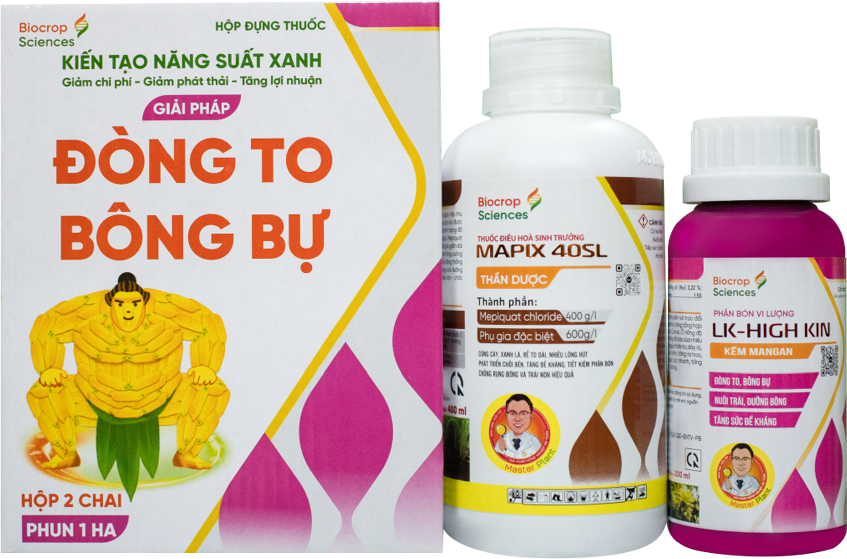 GIẢI PHÁP ĐÒNG TO – BÔNG BỰ