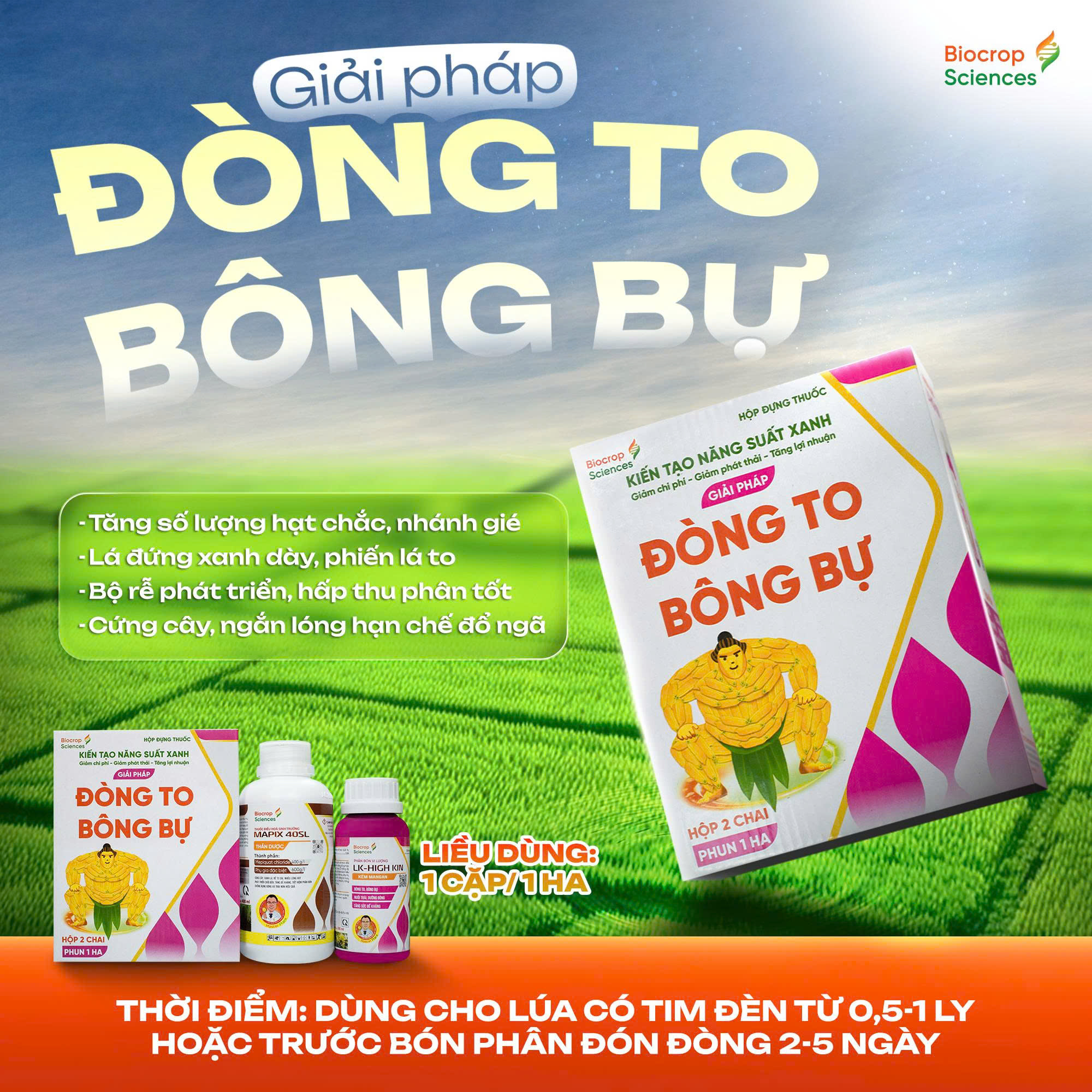 Công dụng của GIẢI PHÁP ĐÒNG TO – BÔNG BỰ