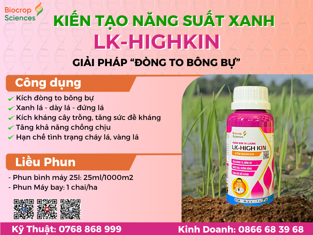 Công dụng của LK-HIGH KIN