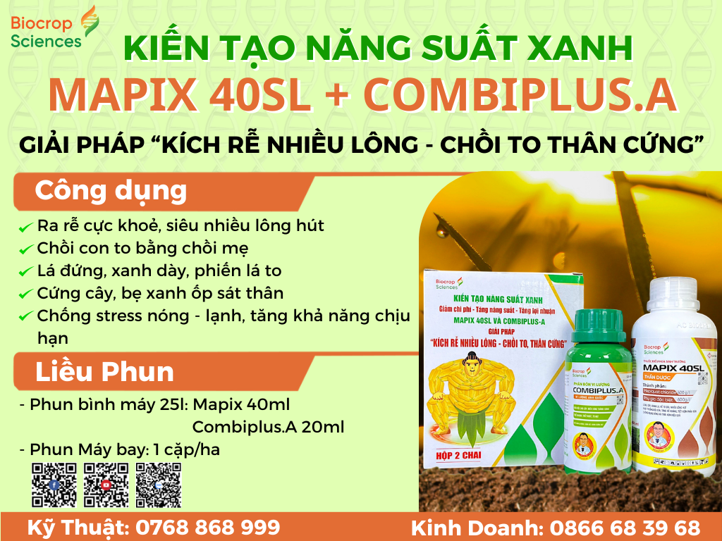 Công dụng của GIẢI PHÁP KÍCH RỄ NHIỀU LÔNG – CHỒI TO THÂN CỨNG