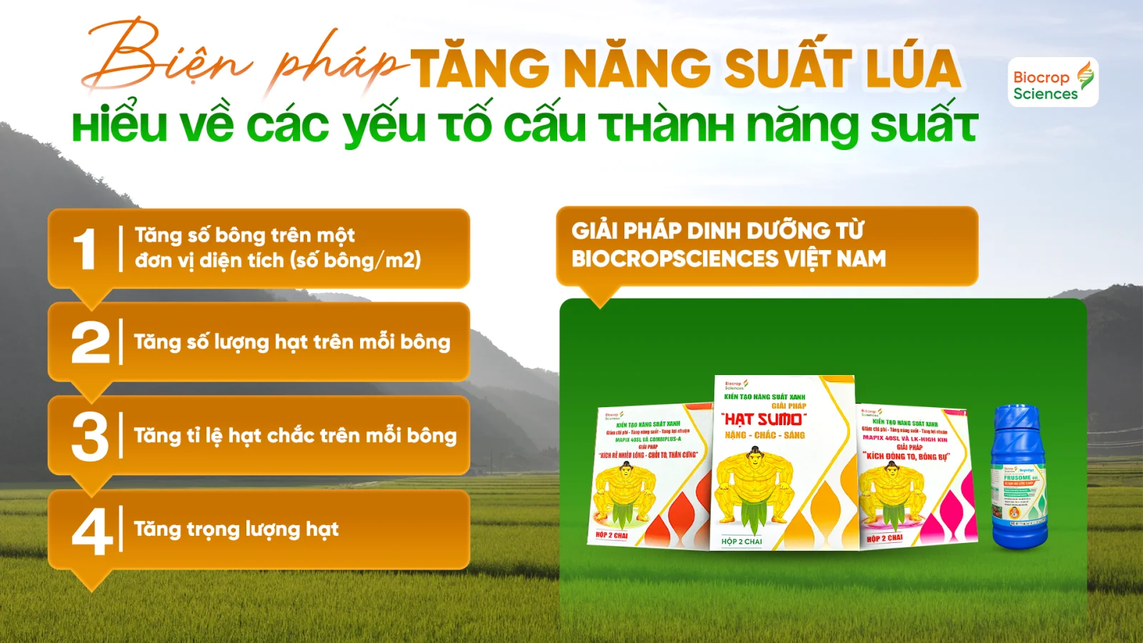 Tăng năng suất l&uacute;a với quy tr&igrave;nh dinh dưỡng từ BiocropSciences Việt Nam